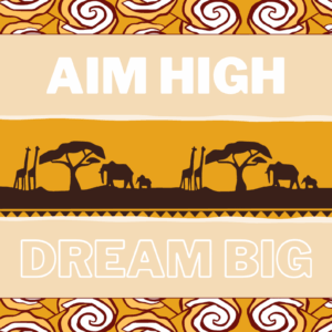 Aim High Dream Big
