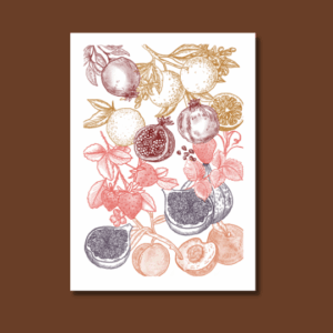 Plantable Postcard- Garden